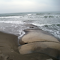 Groynes y espigones en la playa para la protección del litoral