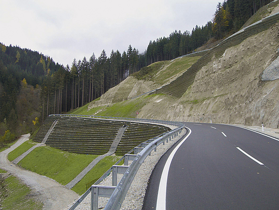 Hangsicherung mit Fortrac Natur an einer Straße in Österreich