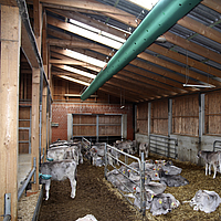 Vista inferior de un Tube Air en el techo de un gran establo de vacas